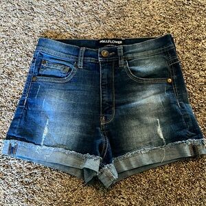 Wallflower shorts